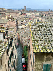 Siena 2024 – Pinacoteca Nazionale – View of Siena