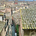 Siena 2024 – Pinacoteca Nazionale – View of Siena