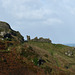 On the Way to Tintagel Castle