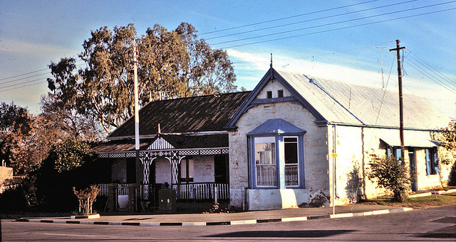 Oudtshoorn (ZA Afrique du Sud)) Juillet 1977. (Diapositive numérisée).