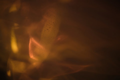 DSCF5299