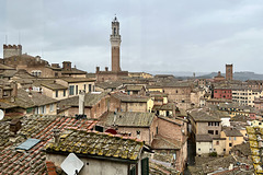 Siena 2024 – Pinacoteca Nazionale – View of Siena