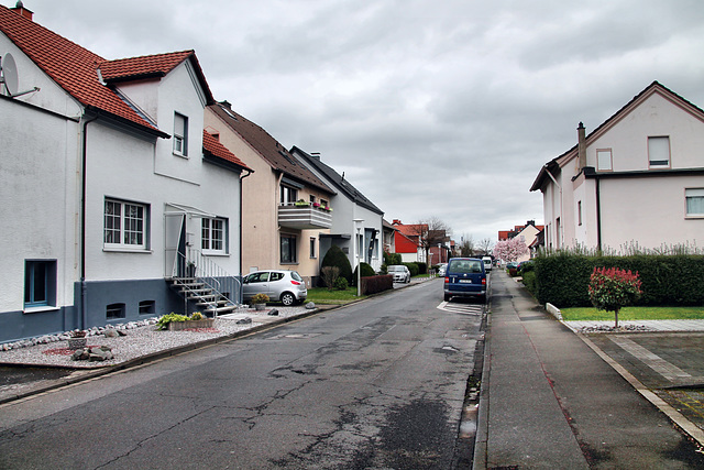 Blumenstraße (Unna-Königsborn) / 16.03.2024