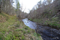 The Dorback River