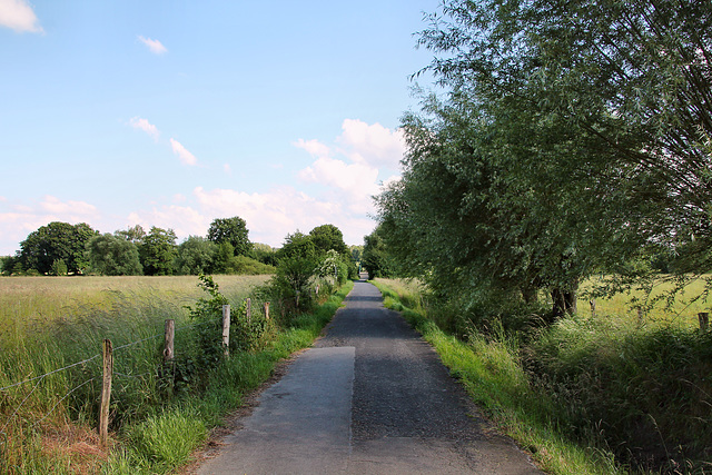 Ohlweg (Fröndenberg-Dellwig) / 11.06.2022