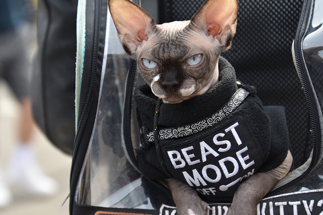 phmrapr302023 (1197)