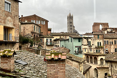 Siena 2024 – Pinacoteca Nazionale – View of Siena