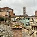 Siena 2024 – Pinacoteca Nazionale – View of Siena