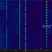 M23 intruder on 14100 kHz