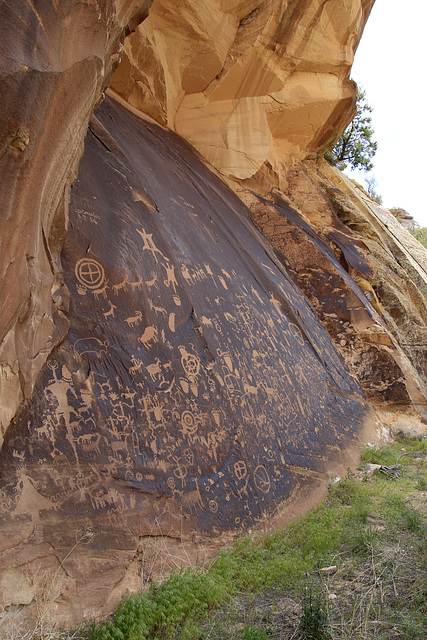 Newspaper Rock