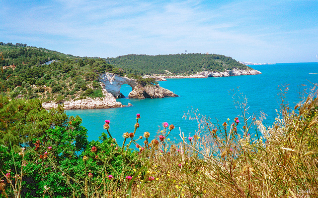 Gargano Gargano