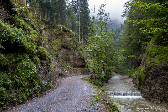 Wander und Wirtschaftsweg in der Tössschlucht