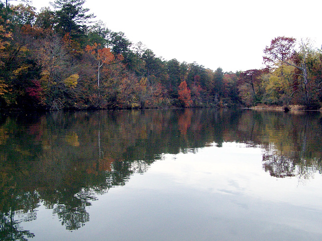 Tombigbee River with autumn color