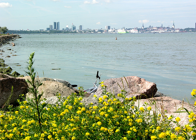 Tallinn an der Baltic-/Ostsee