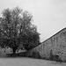 auf der Festung Ehrenbreitstein (© Buelipix)