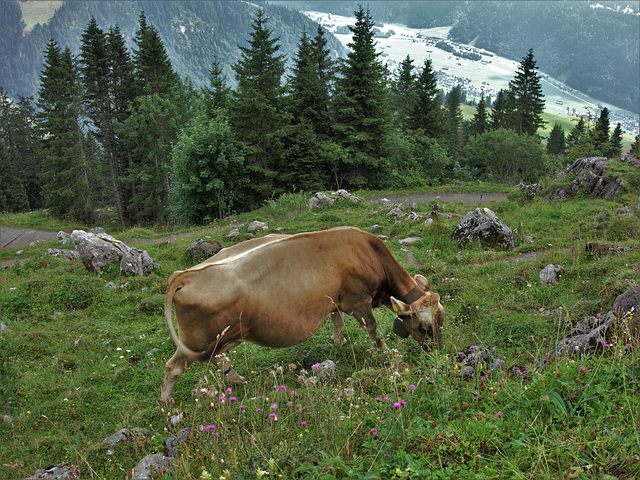 Engelberg