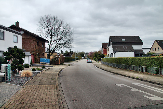 Habichtstraße (Unna-Königsborn) / 16.03.2024