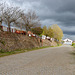 Variz, Portugal HWW
