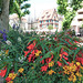 Buntes Elsass Buntes Elsass