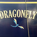 Dragonfly boat