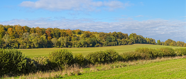 Almost Autumnal  (+PiP)