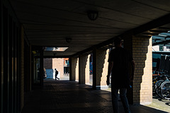 Light and shadow