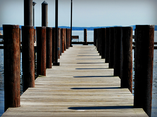 Wooden Sentries