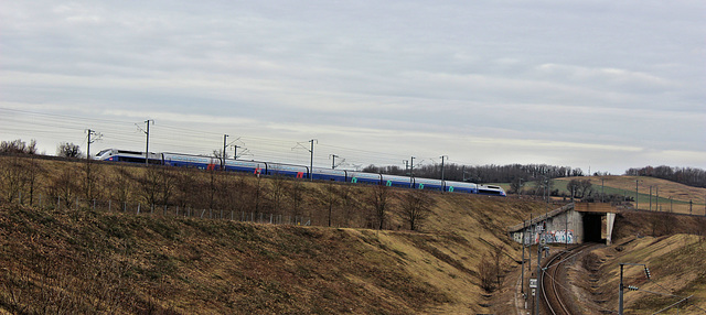 Saint-Quentin-Fallavier (38) 26 février 2015. Un TGV sur l'évitement est de Lyon.
