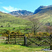 HFF from Wasdale Head, Cumbria