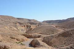 Israel, The Mountains of Eilat, Path to Red Canyon from the West