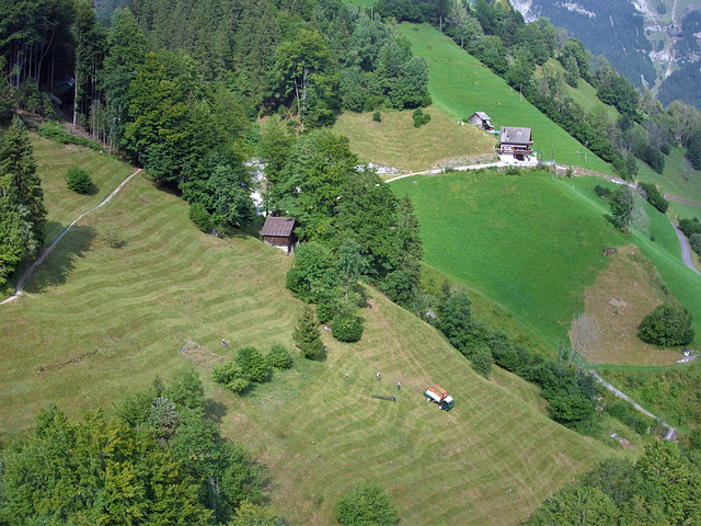 Engelberg Heuen am Limit!