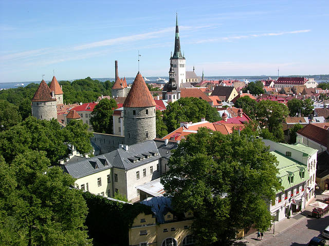 Tallinn-Blick von der Stadtmauer