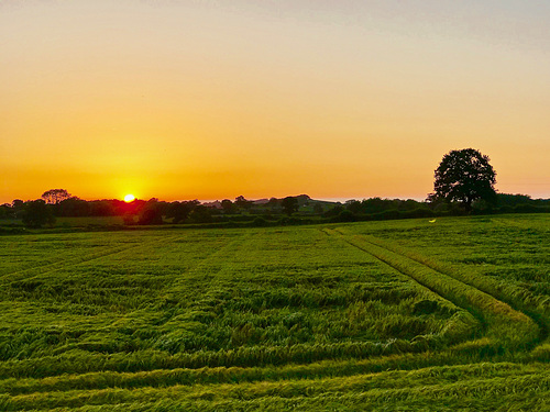 June sunset