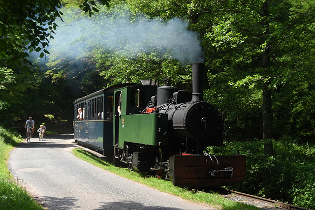 Chemin de Fer forestier d’Abreschviller