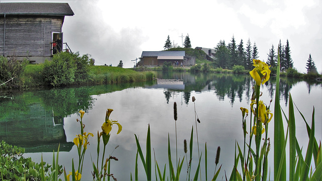 "Härzlisee" Engelberg