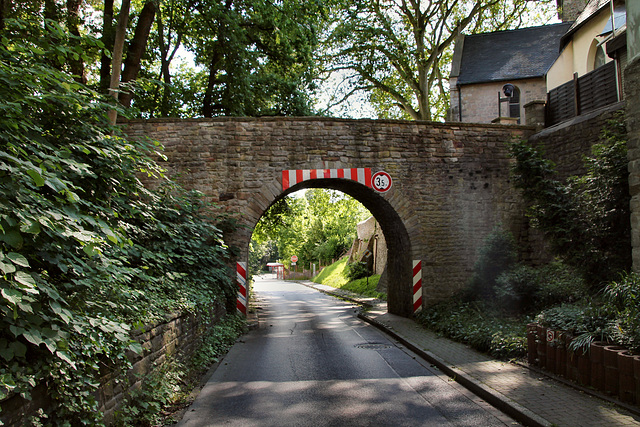 Strickherdicker Weg (Fröndenberg-Dellwig) / 11.06.2022