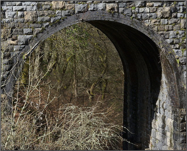 The old woods, framed.