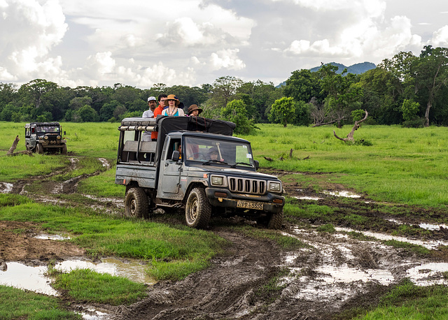 Sri Lanka tour - the fifth day, Minneriya National Park