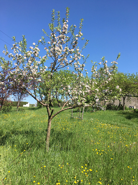 Le printemps est là !