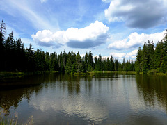 CZ - Kladska - Another hike on the nature trail