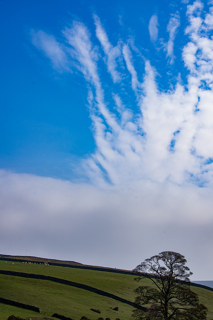 a clearing sky