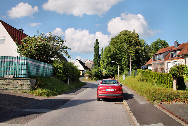 Strickherdicker Weg (Fröndenberg-Dellwig) / 11.06.2022