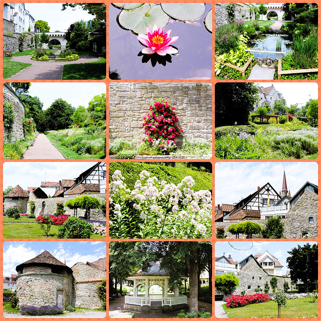Zeitreisen - 21.06.2022- Radolfzell-2