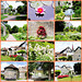 Zeitreisen - 21.06.2022- Radolfzell-2