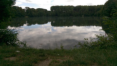 Clairière de l'Armistice / Glade of the Armistice