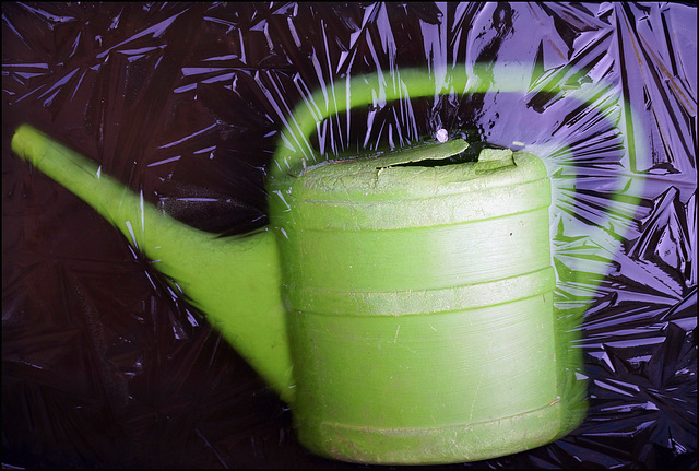 Spring in Black Forest:)