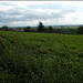 southerly view from the church