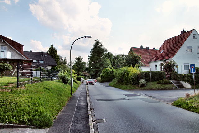 Strickherdicker Weg (Fröndenberg-Dellwig) / 11.06.2022