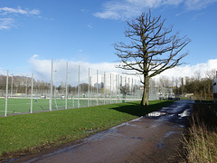 sportfeld-07453