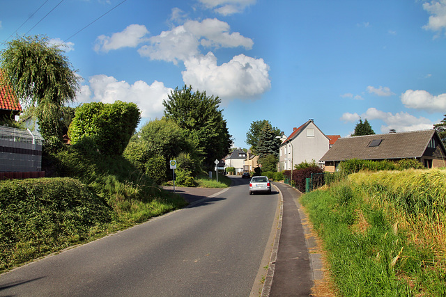 Strickherdicker Weg (Fröndenberg-Dellwig) / 11.06.2022